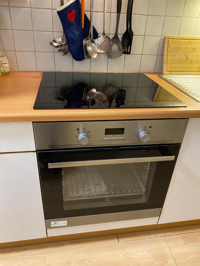Dachsteinblick Apartment Рамзау ам Дахщайн Екстериор снимка